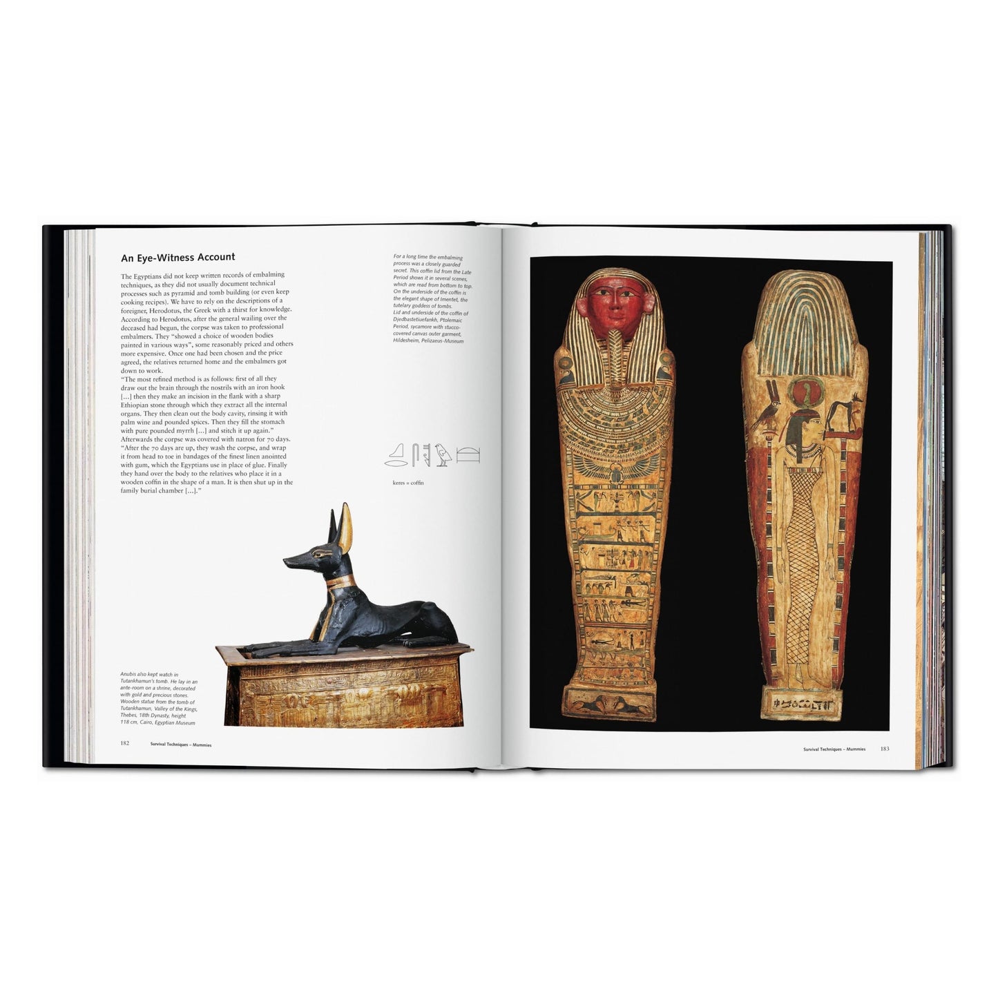 L'Egypte. Les hommes, les dieux, les pharaons (French)