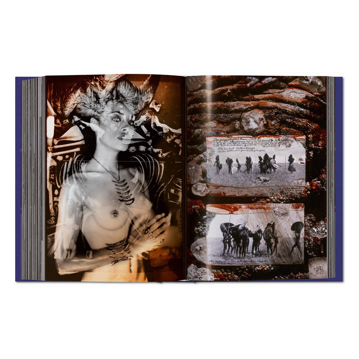 Peter Beard (German, French, English)