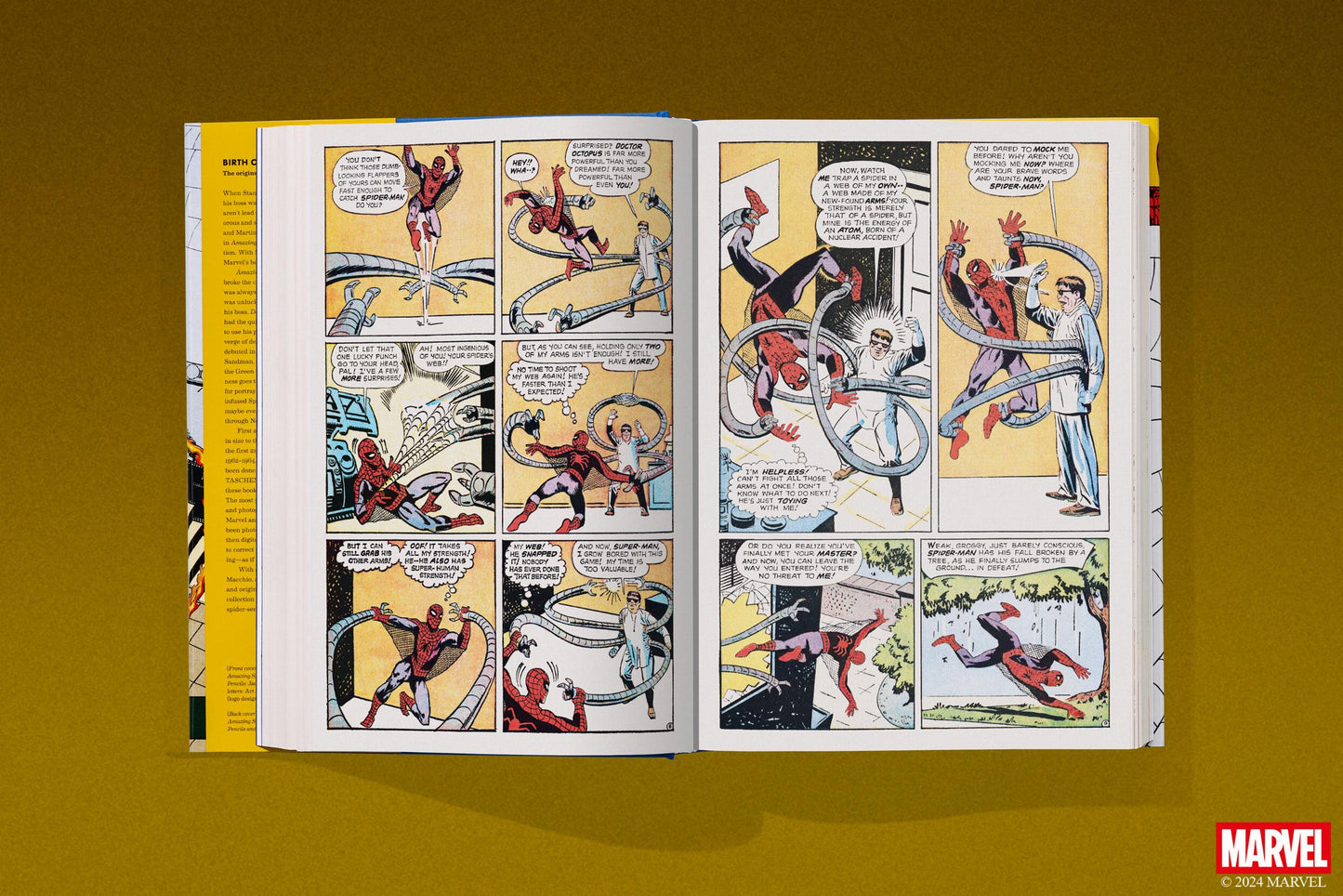 Marvel Comics Library. Spider-Man. 1962–1964 (English)