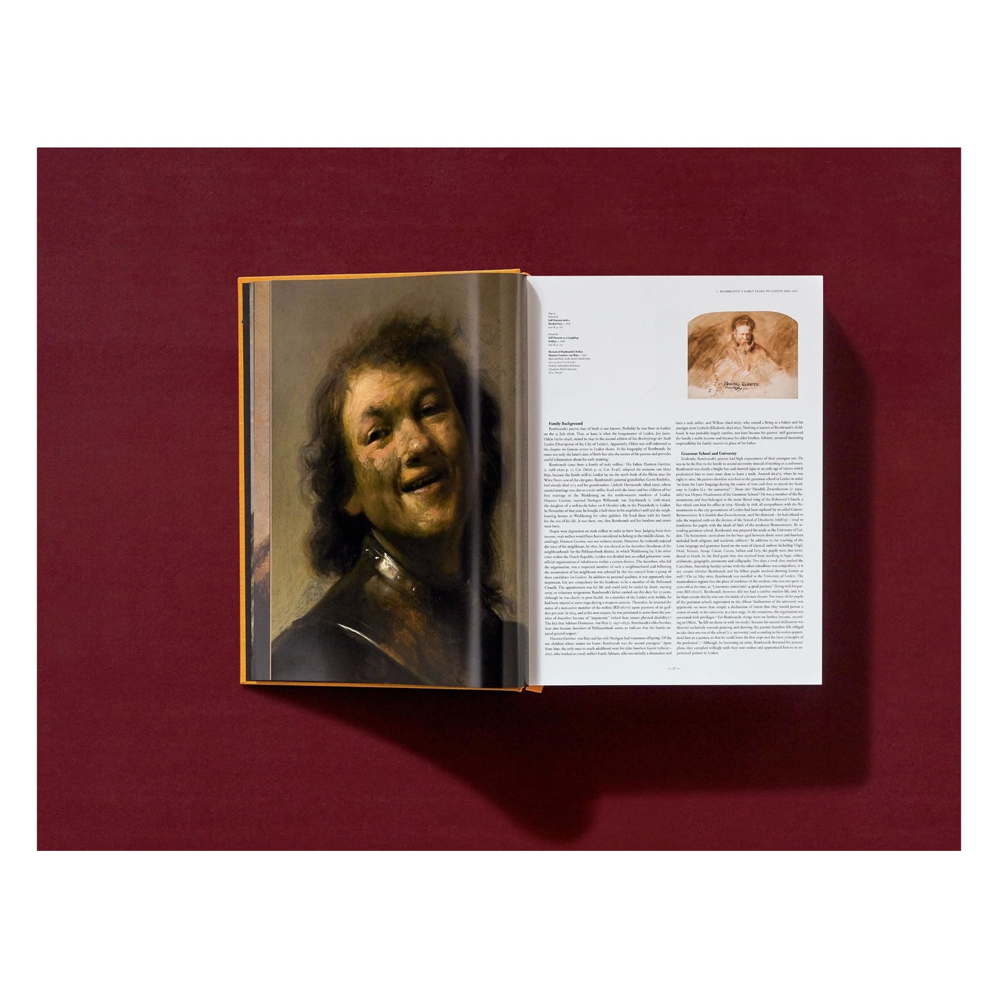 Rembrandt. Alle schilderijen (Dutch)