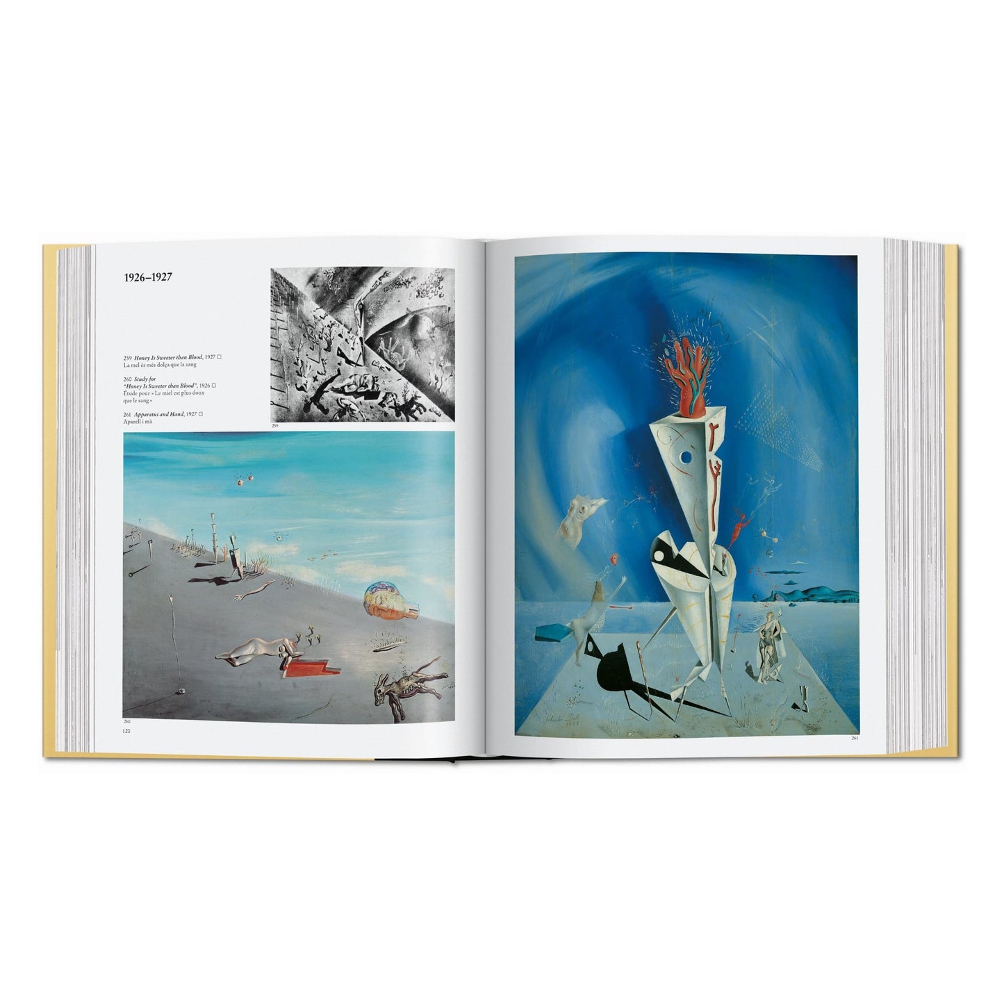 Dalí. The Paintings (English)