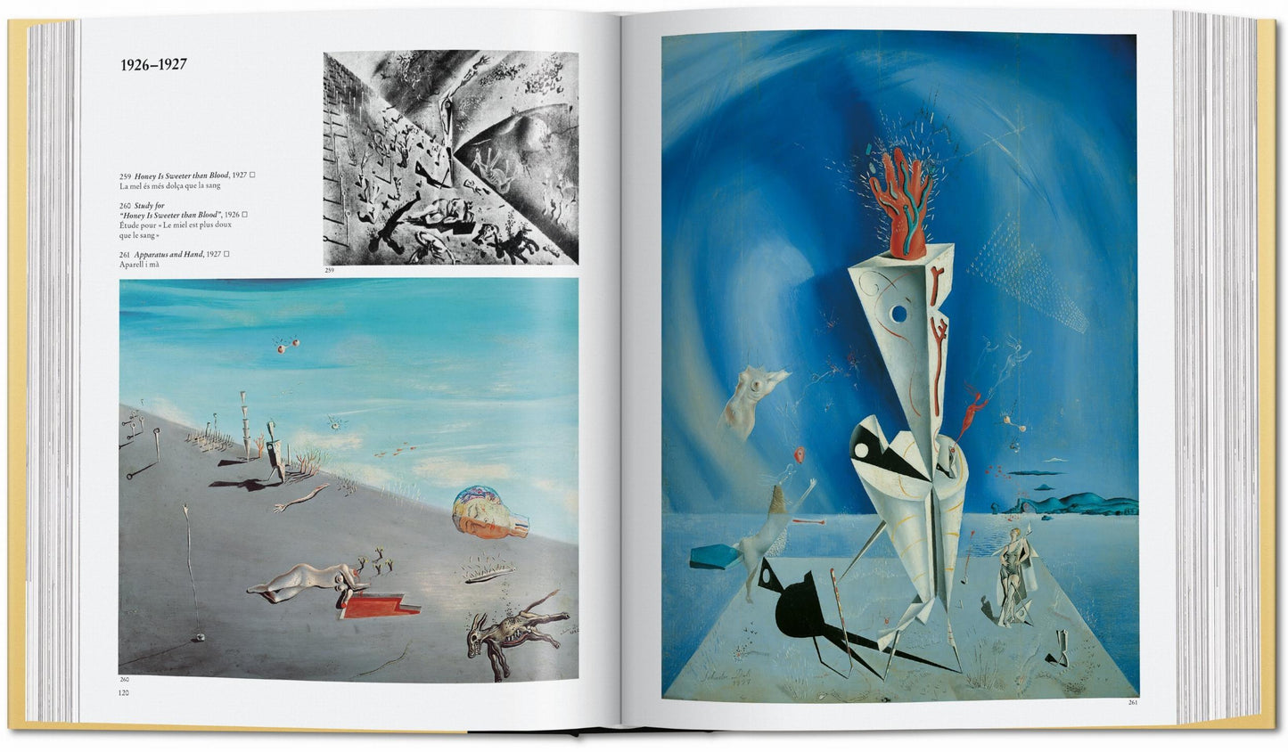 Dalí. The Paintings (English)