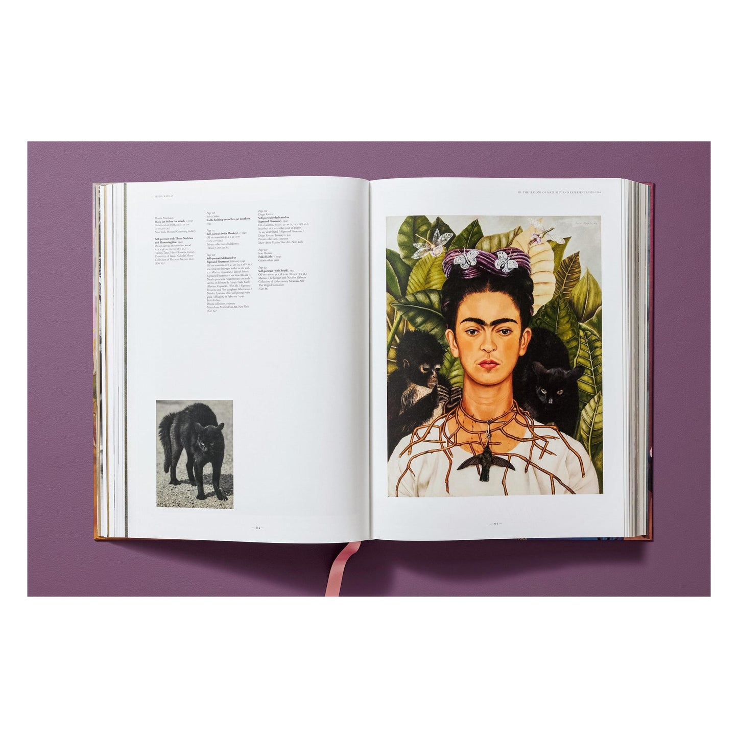 Frida Kahlo. Sämtliche Gemälde (German)