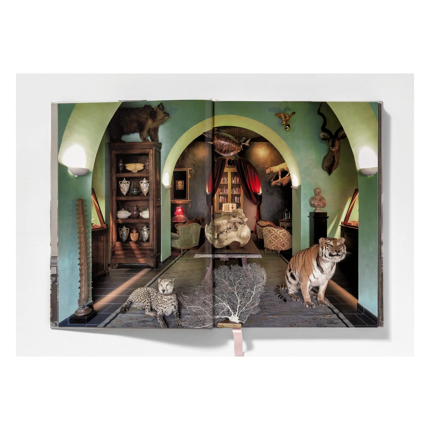Massimo Listri. Cabinet of Curiosities (German, French, English)