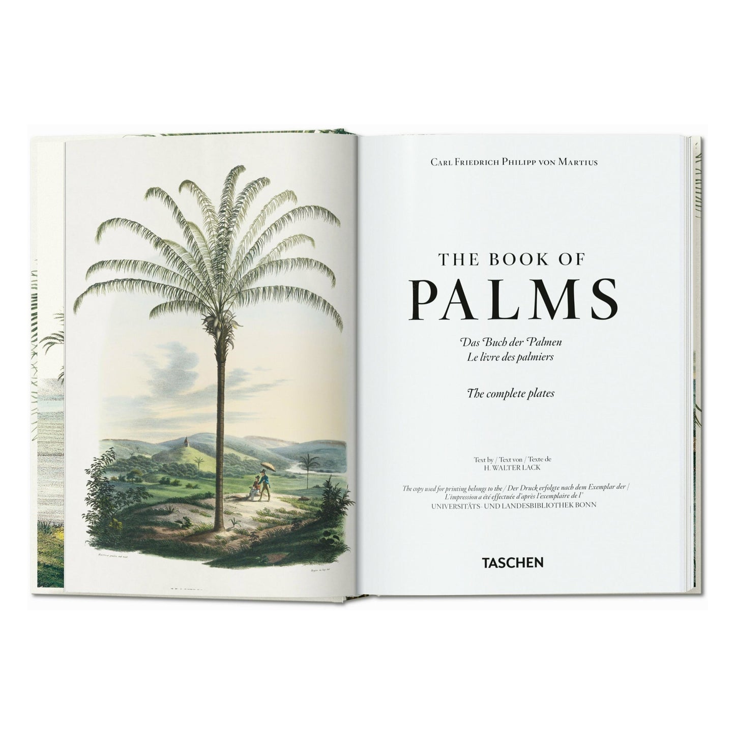Martius. El libro de las palmeras. 45th Ed. (Spanish, Italian, Portuguese)