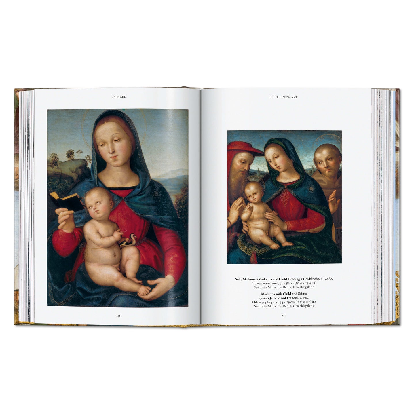 Raffael. Gemälde, Fresken, Teppiche. 45th Ed. (German)