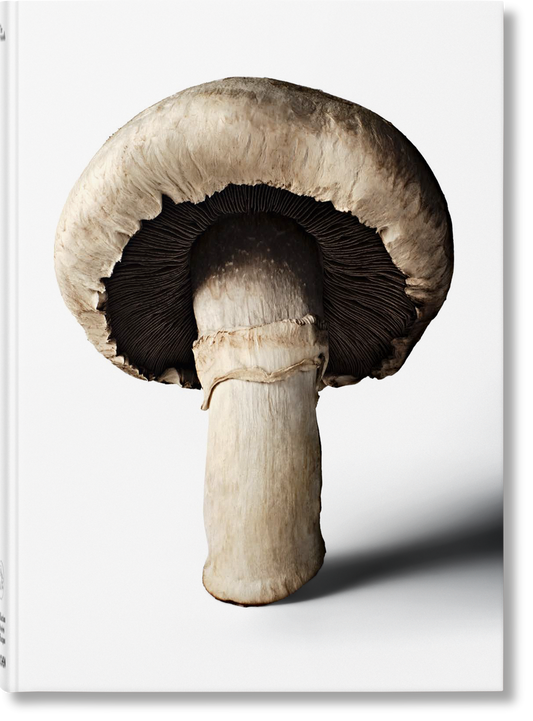 The Gourmand's Mushroom. A Collection of Stories and Recipes (English)