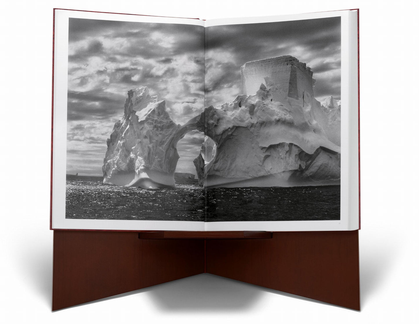 Sebastião Salgado. Genesis. Art Edition No. 201–300 ‘Black-Browed Albatrosses, Falkland Islands’ (English)