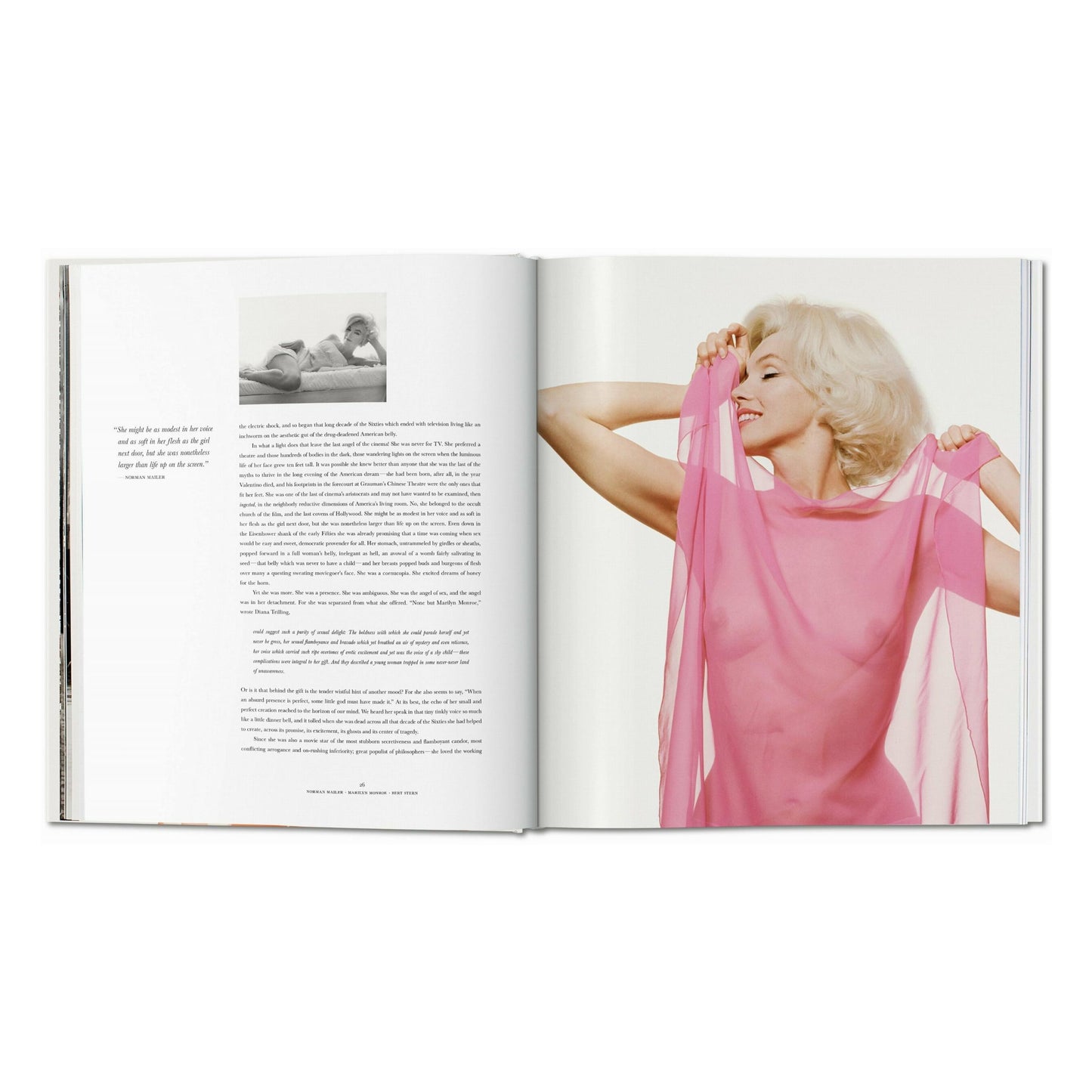 Norman Mailer. Bert Stern. Marilyn Monroe (English)