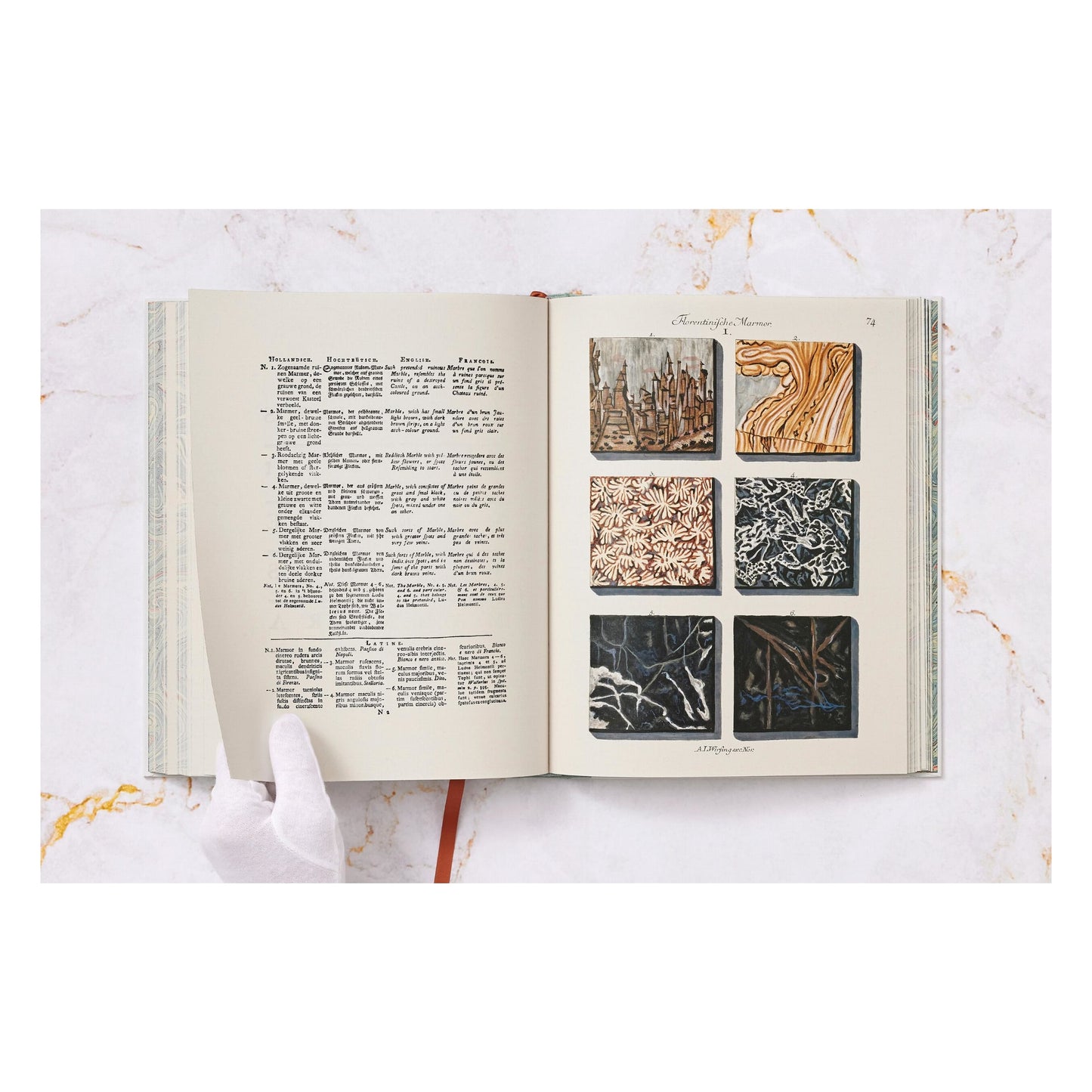 Jan Christiaan Sepp. The Book of Marble (German, French, English)