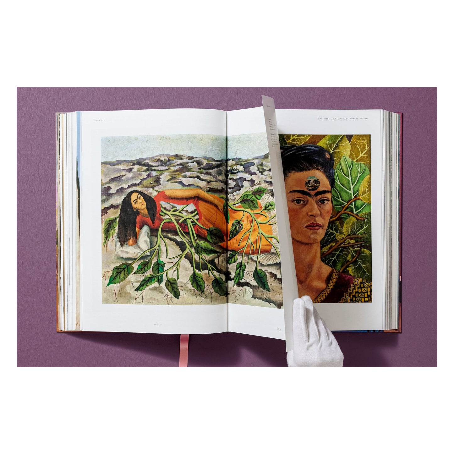 Frida Kahlo. Toute l'œuvre peinte (French)