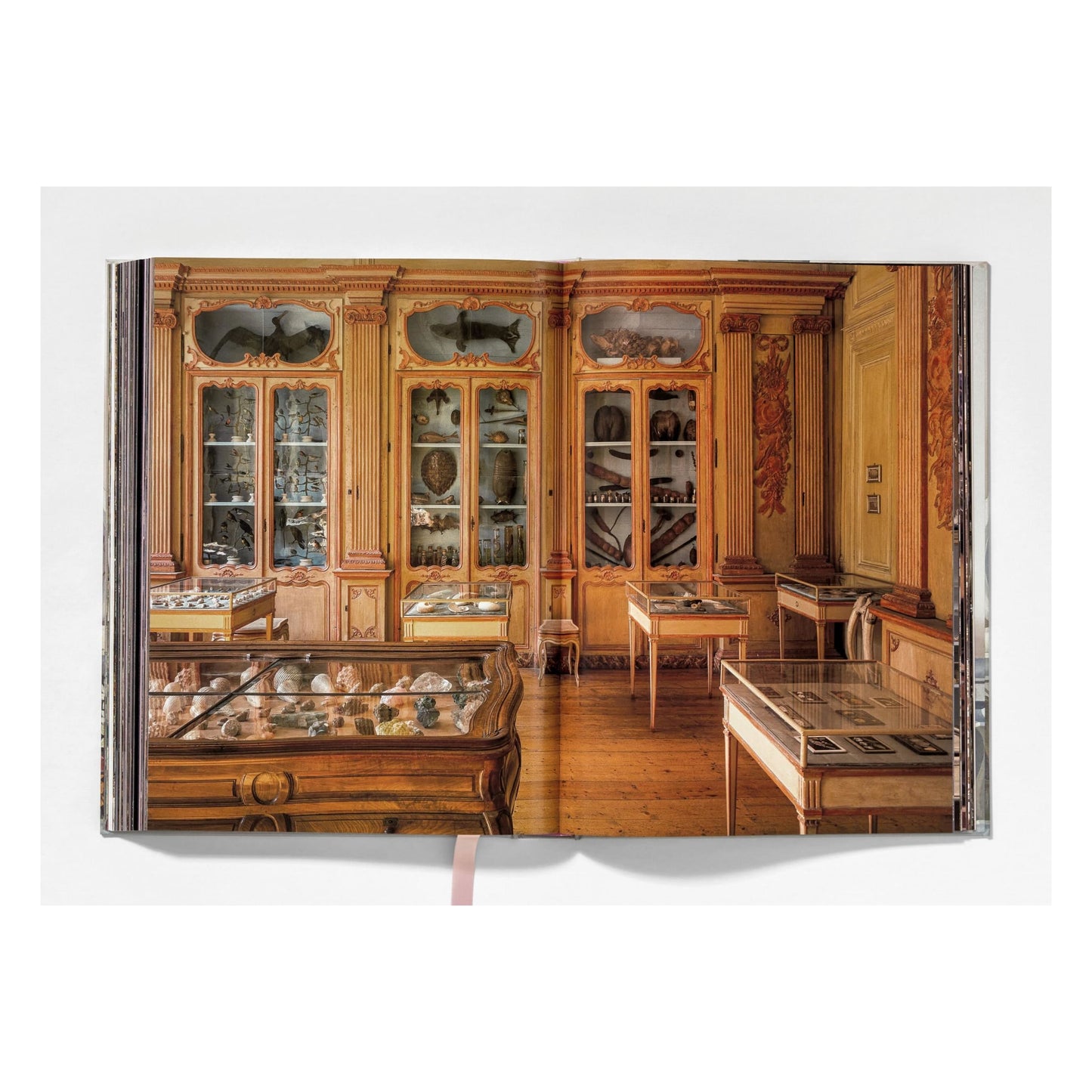 Massimo Listri. Cabinet of Curiosities (German, French, English)