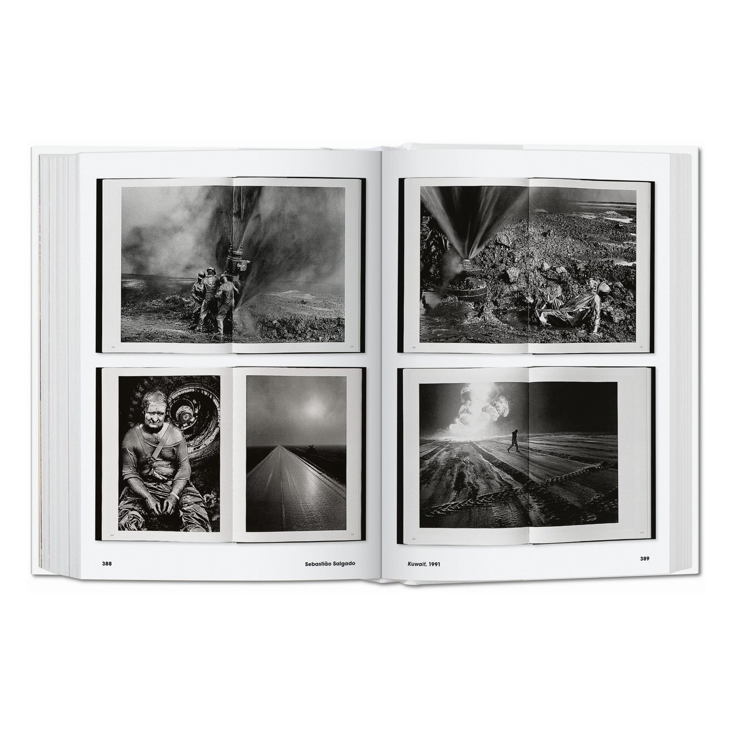 Photo Icons. 50 photographies emblématiques et leur histoire (French)