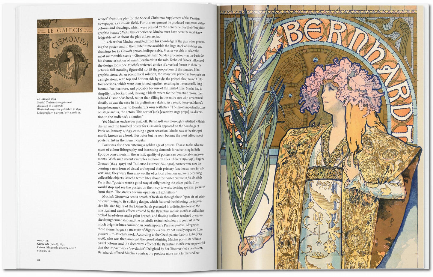 Mucha (Spanish)