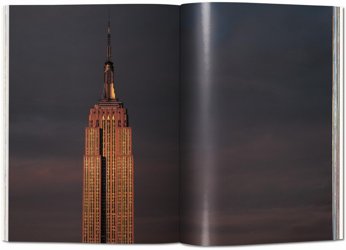 Reinhart Wolf. New York (Italian)