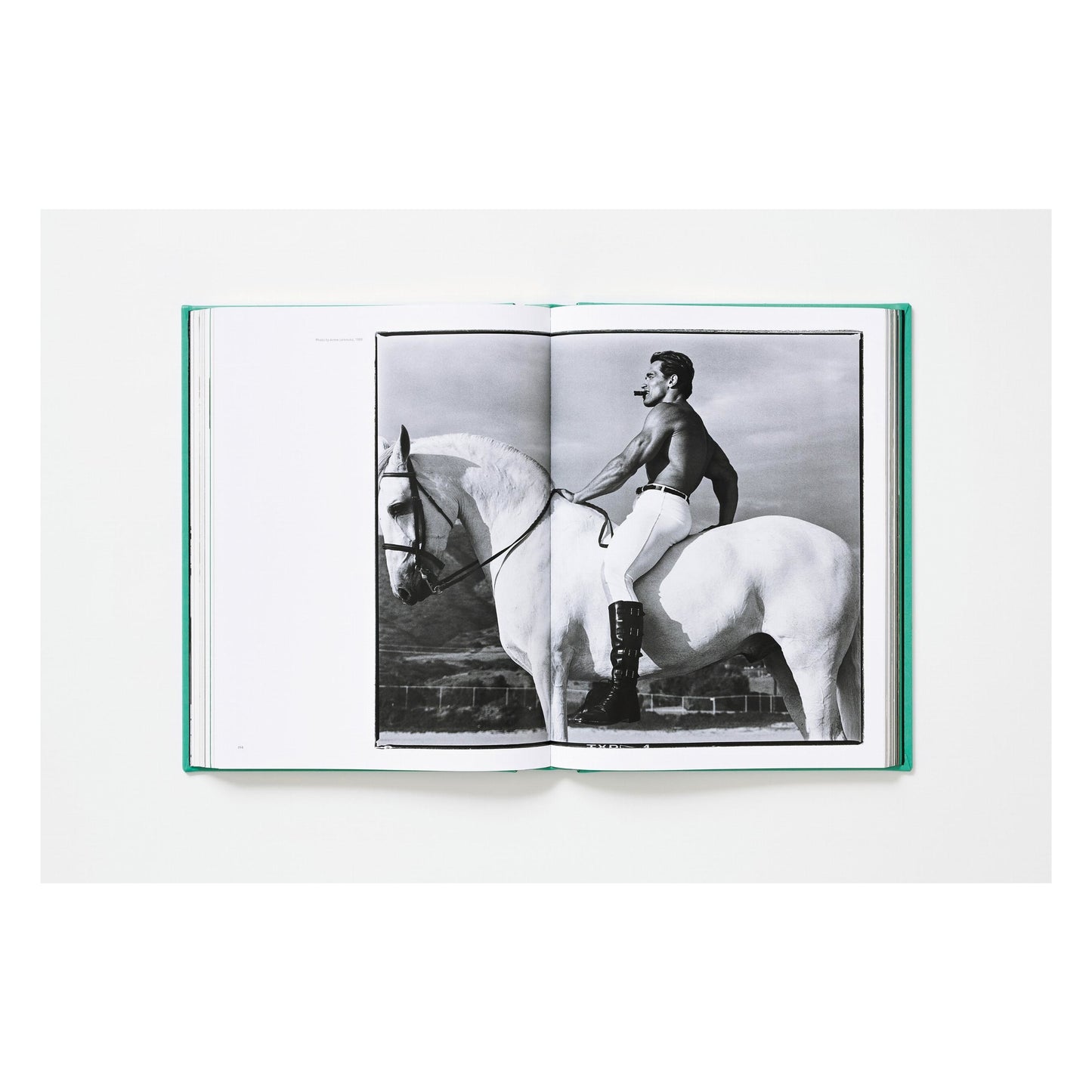 ARNOLD. Capitello Edition (English)