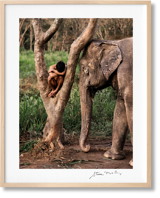 McCurry, Animals, Art A, Chiang Mai (German, French, English) (AP)