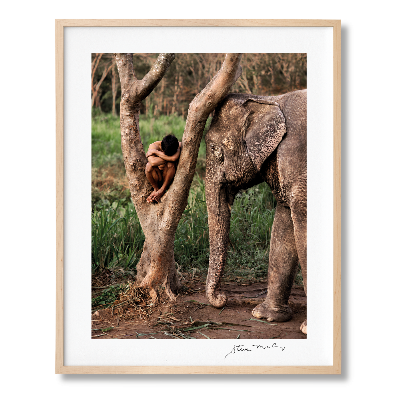 Steve McCurry. Animals. Art Edition No. 1–100 ‘Chiang Mai, Thailand, 2010’ (German, French, English)