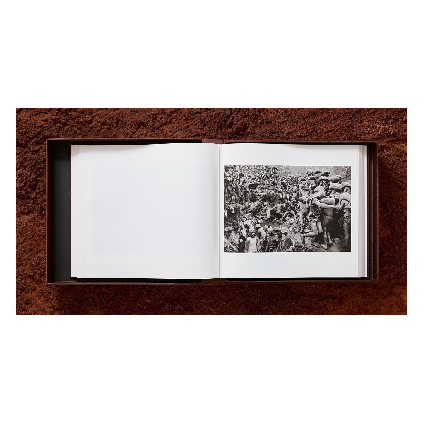 Sebastião Salgado. Gold (English) (AP)