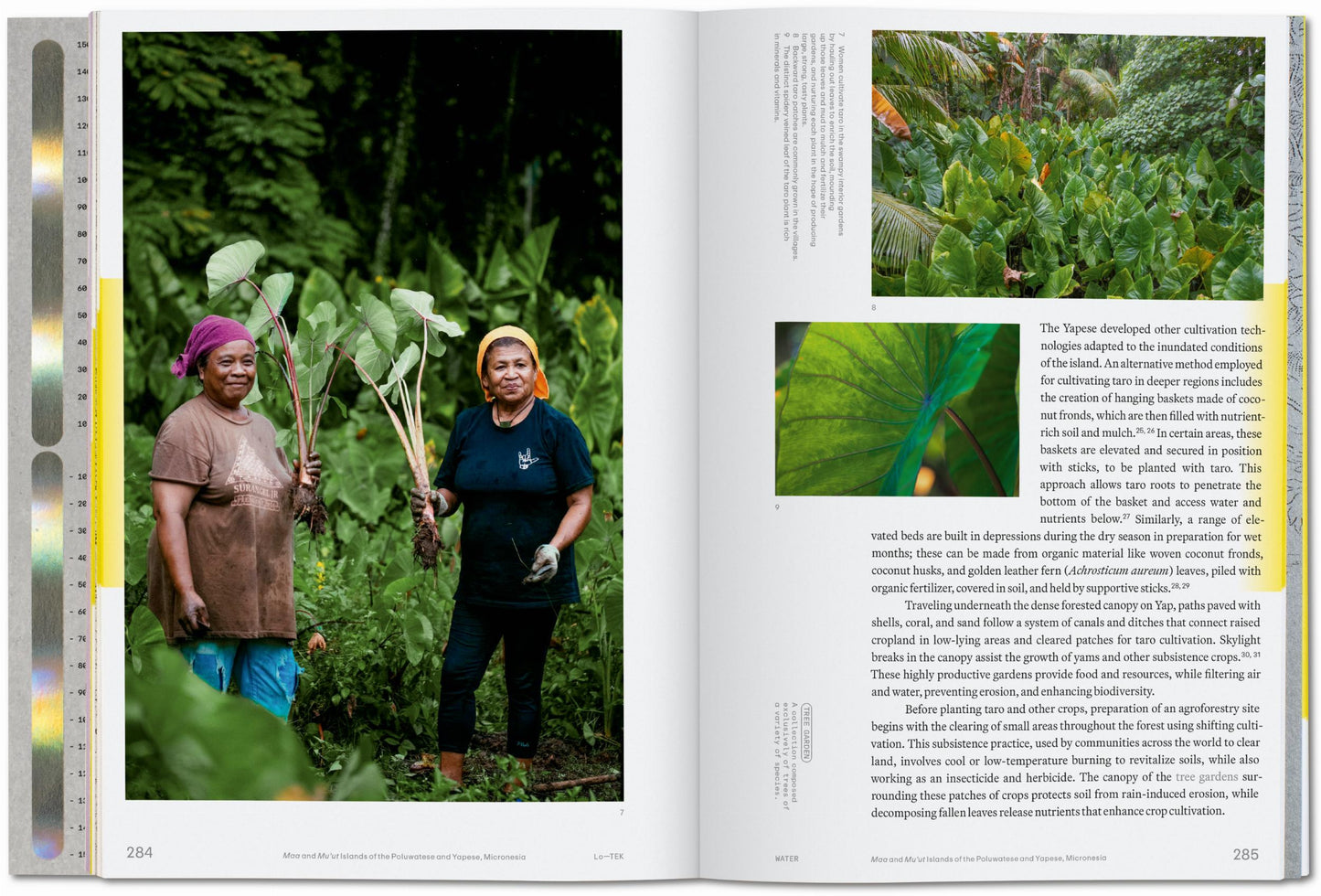 Julia Watson. Lo—TEK. Water. A Field Guide for TEKnology (English)