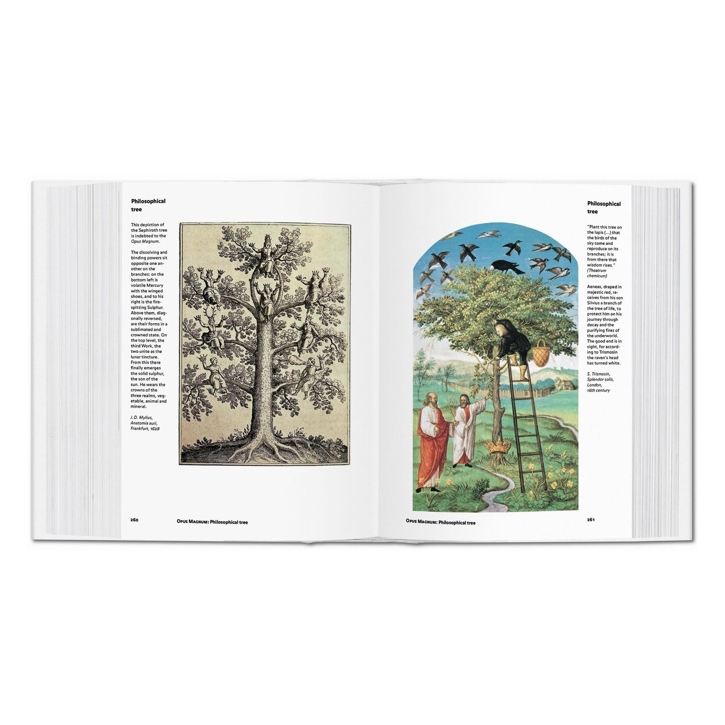 Alchimia & Mistica (Italian)