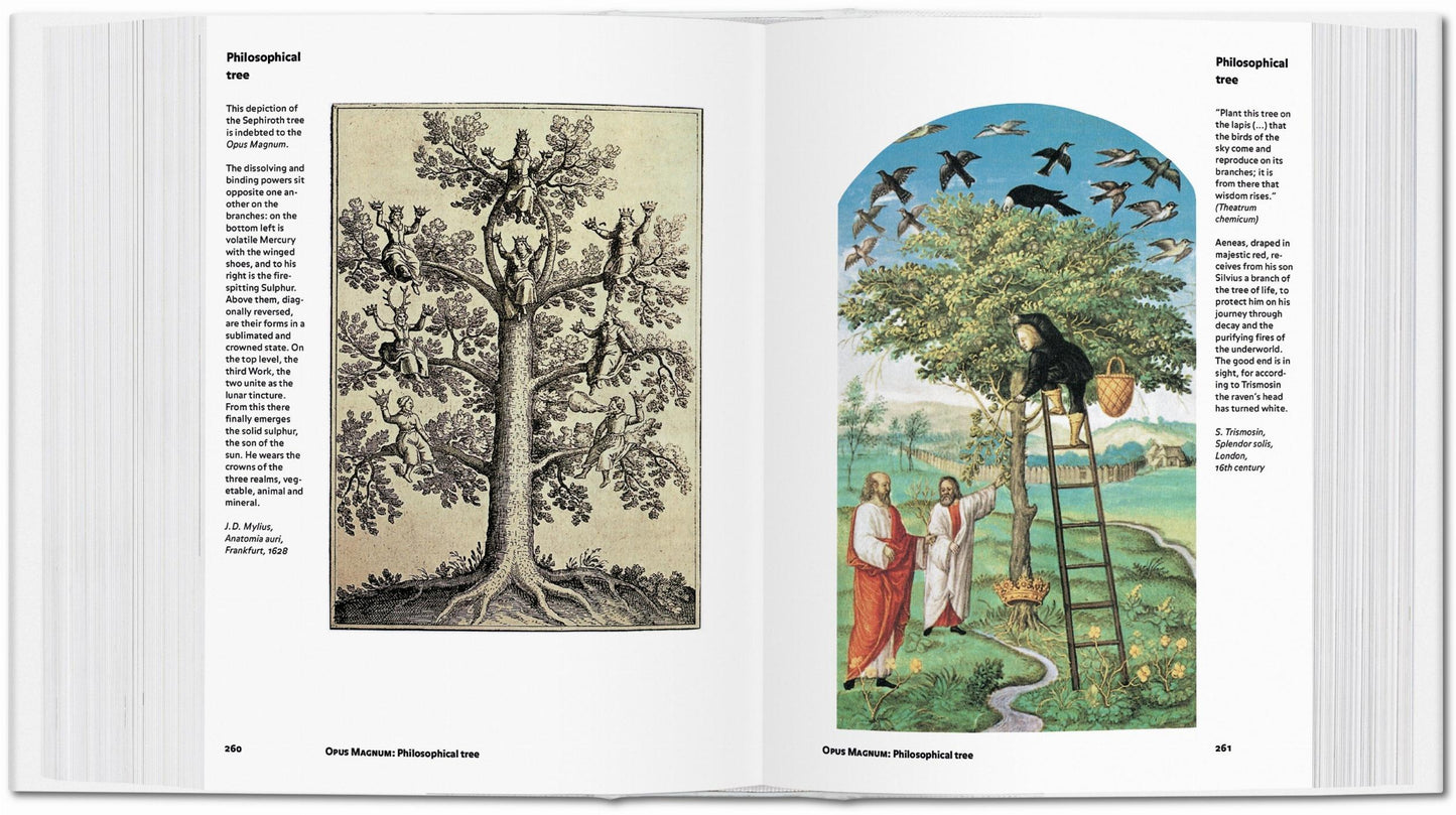 Alchemie & Mystiek (Dutch)