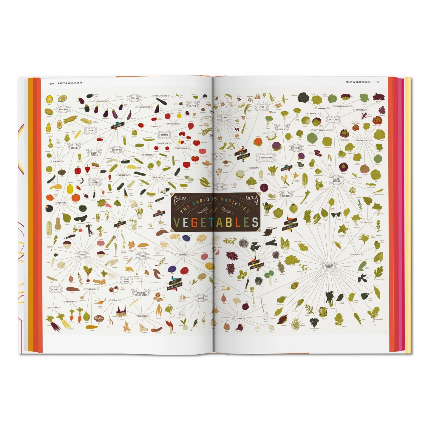 Food & Drink Infographics. A Visual Guide to Culinary Pleasures (German, French, English)