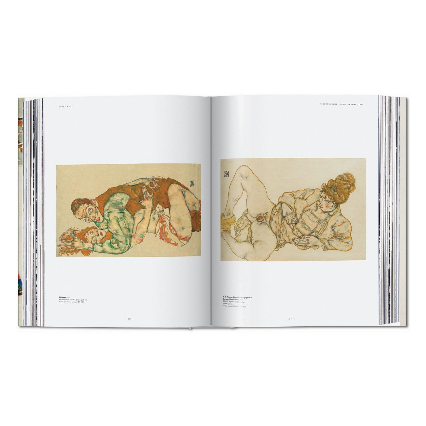 Egon Schiele. Sämtliche Gemälde 1909-1918 (German)