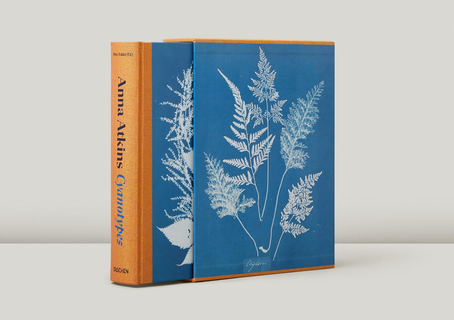 Anna Atkins. Cyanotypes (German, French, English)