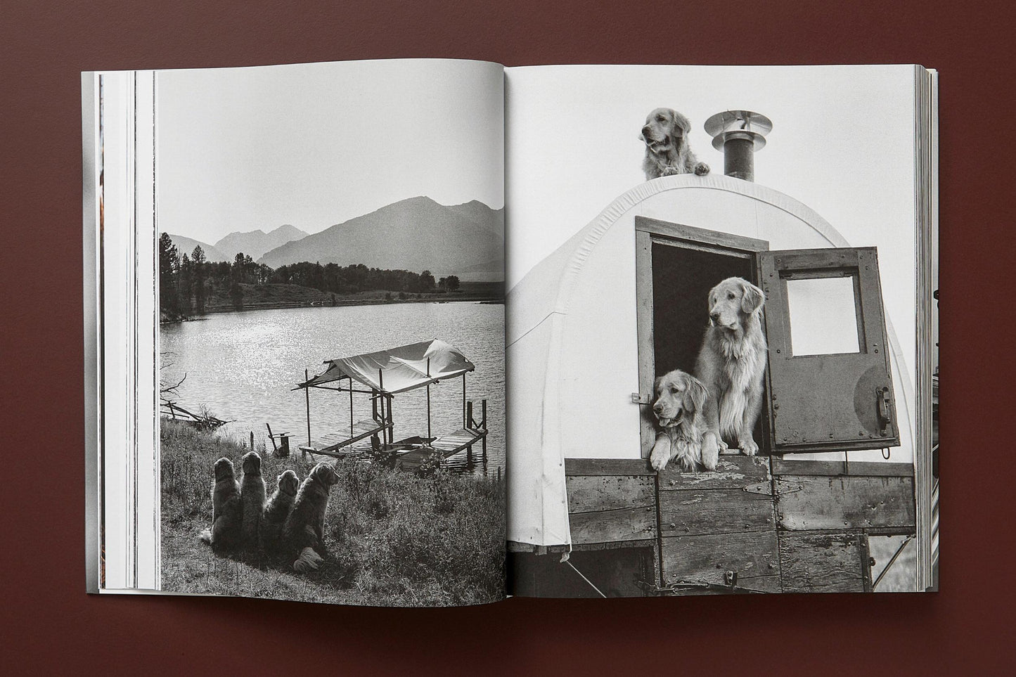 Bruce Weber. The Golden Retriever Photographic Society. Art Edition No. 1–100 ‘Little Bear Ranch, Montana, 1996’ (German, French, English) (AP)