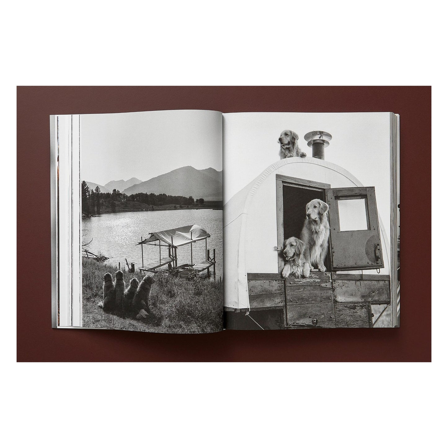Bruce Weber. The Golden Retriever Photographic Society. Art Edition No. 1–100 ‘Little Bear Ranch, Montana, 1996’ (German, French, English)