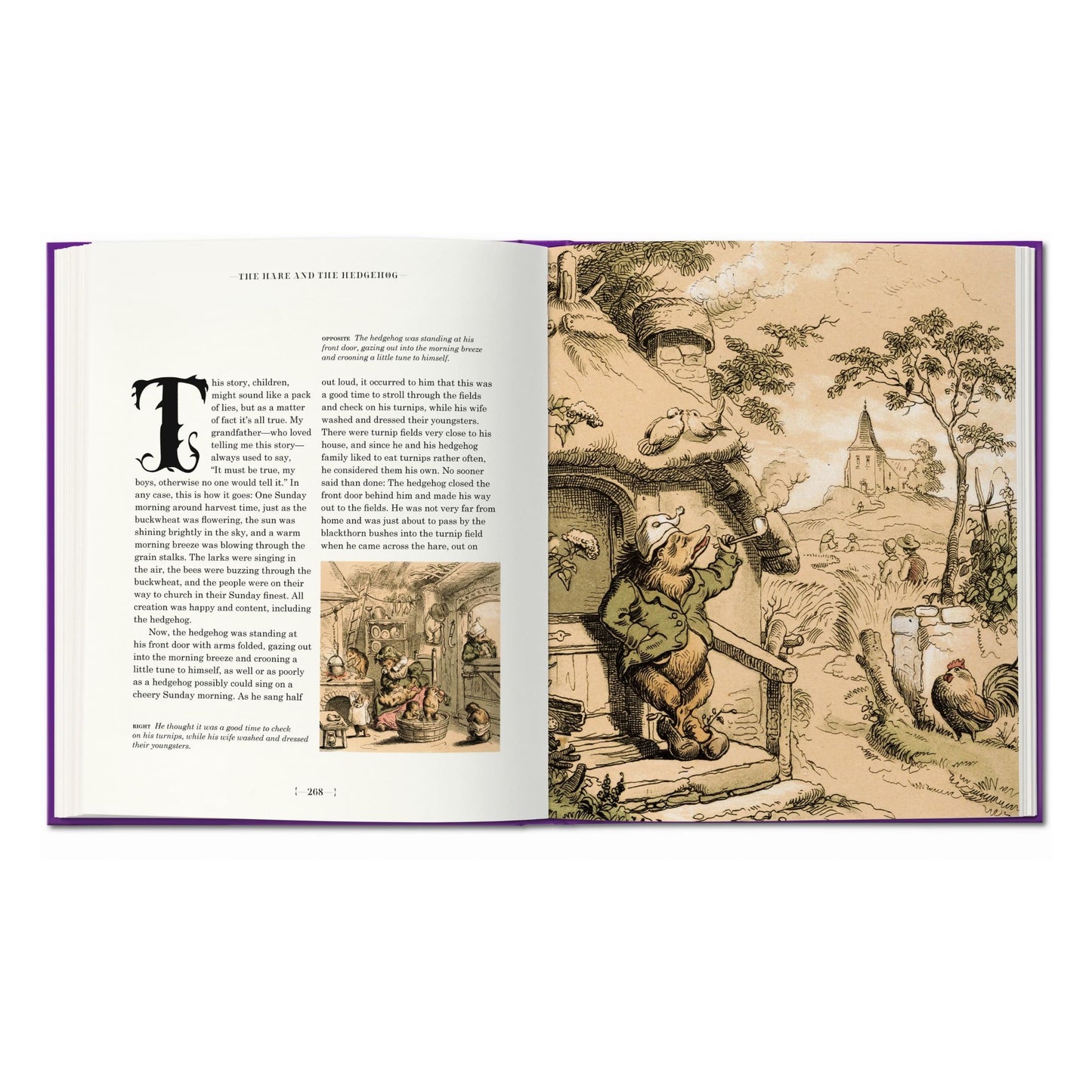 Les contes des frères Grimm (French)