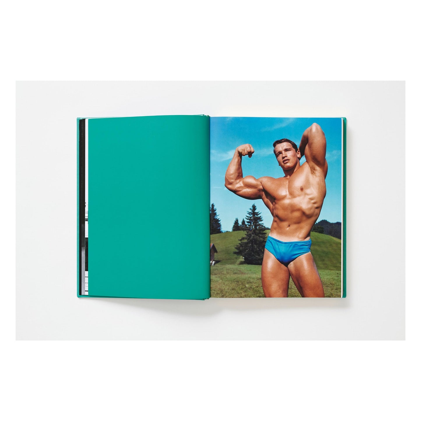ARNOLD. Capitello Edition (English)