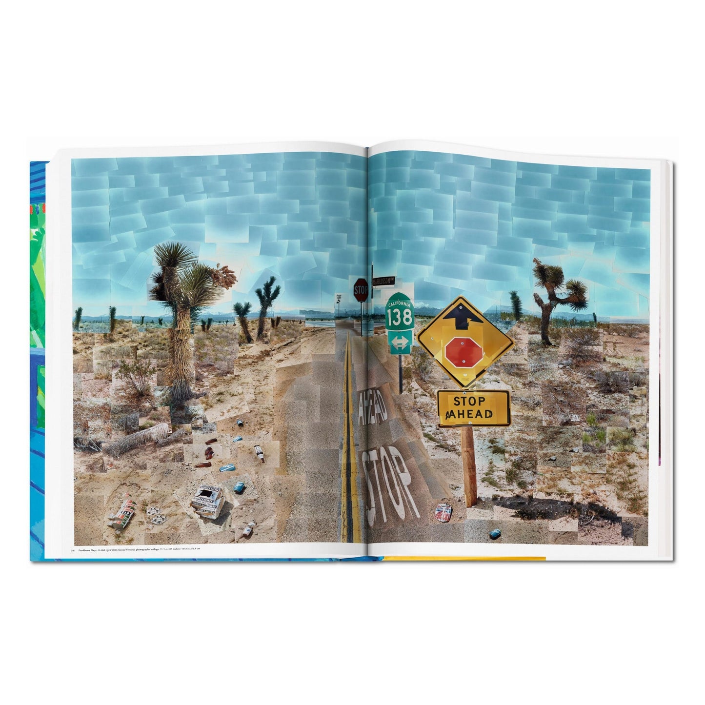 David Hockney. A Bigger Book (English) (AP)