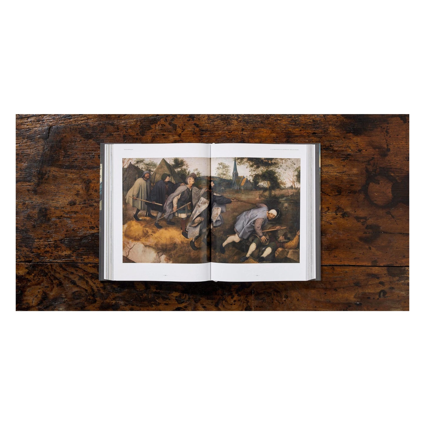 Bruegel. Das vollständige Werk (German)