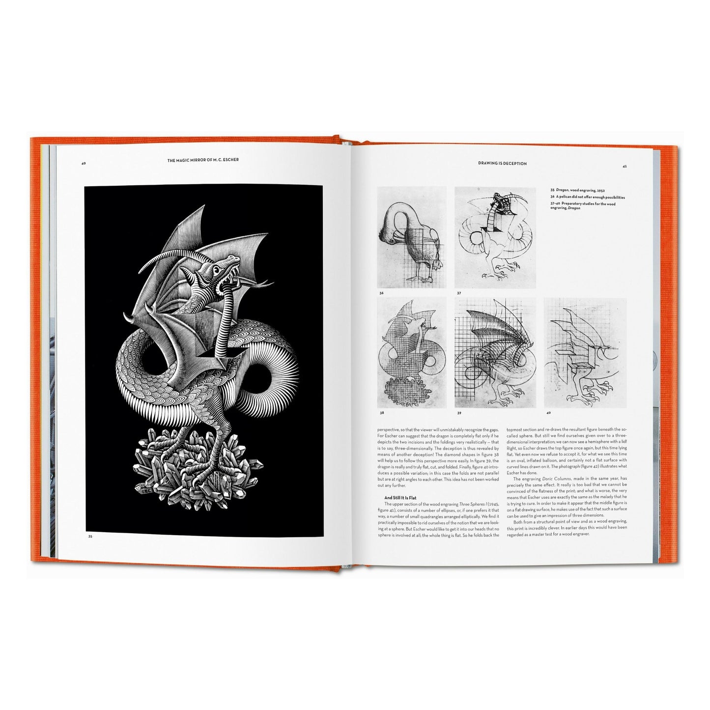 Der Zauberspiegel des M.C. Escher (German)