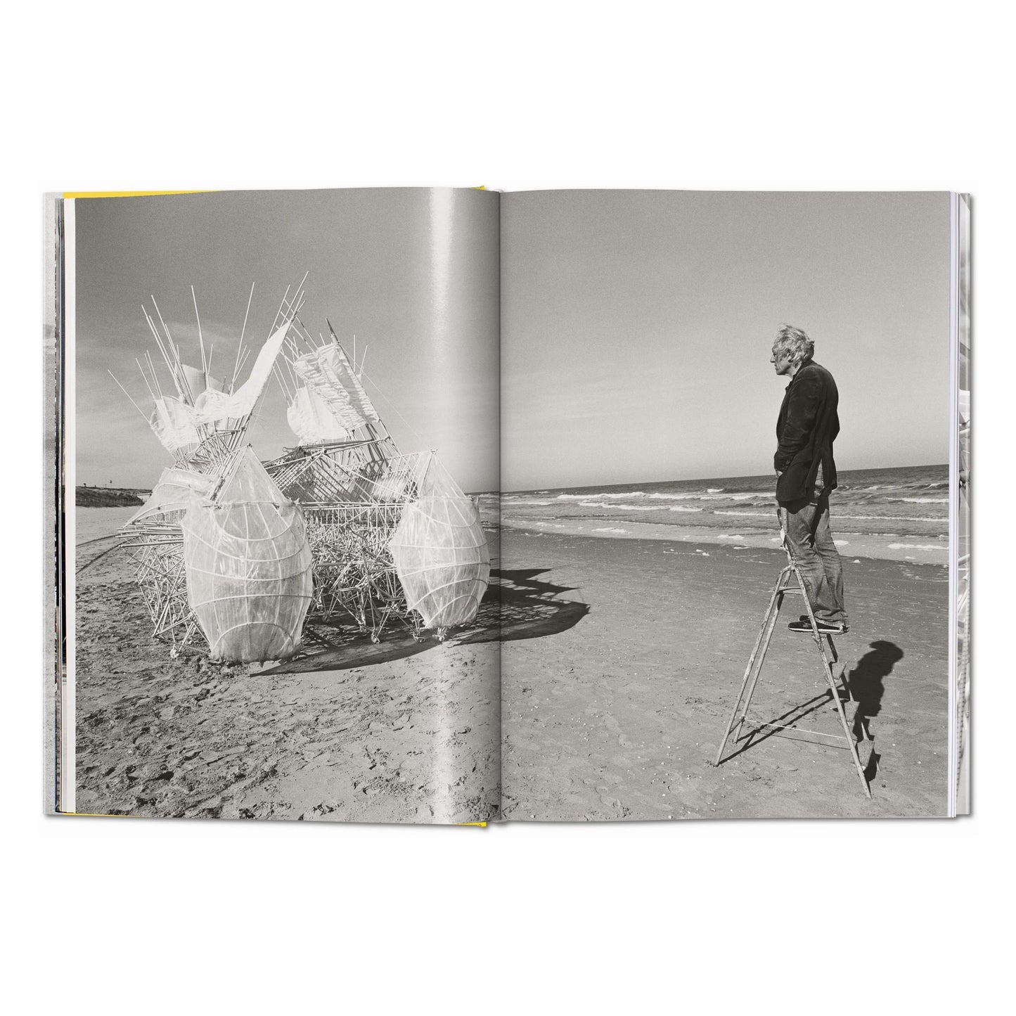 Strandbeest. The Dream Machines of Theo Jansen (German, French, English)