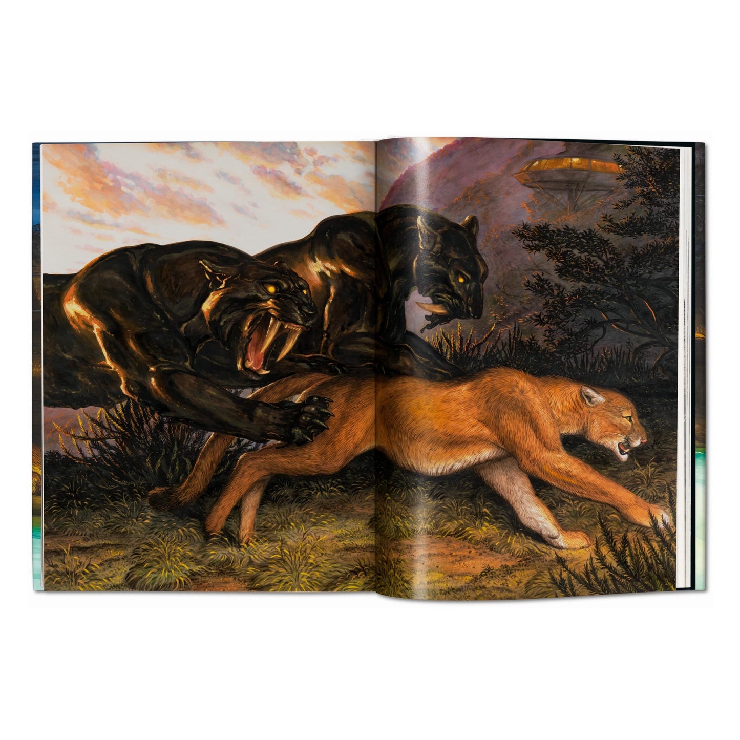 Walton Ford. Pancha Tantra. Updated Edition (German, French, English)