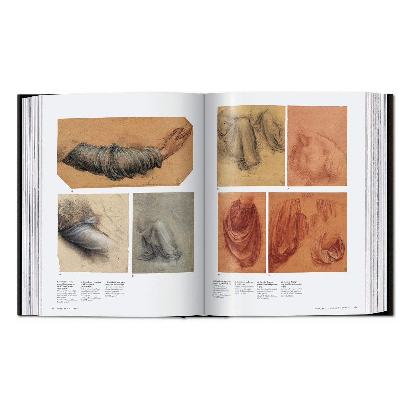 Leonardo. Tutti i dipinti e disegni (Italian)