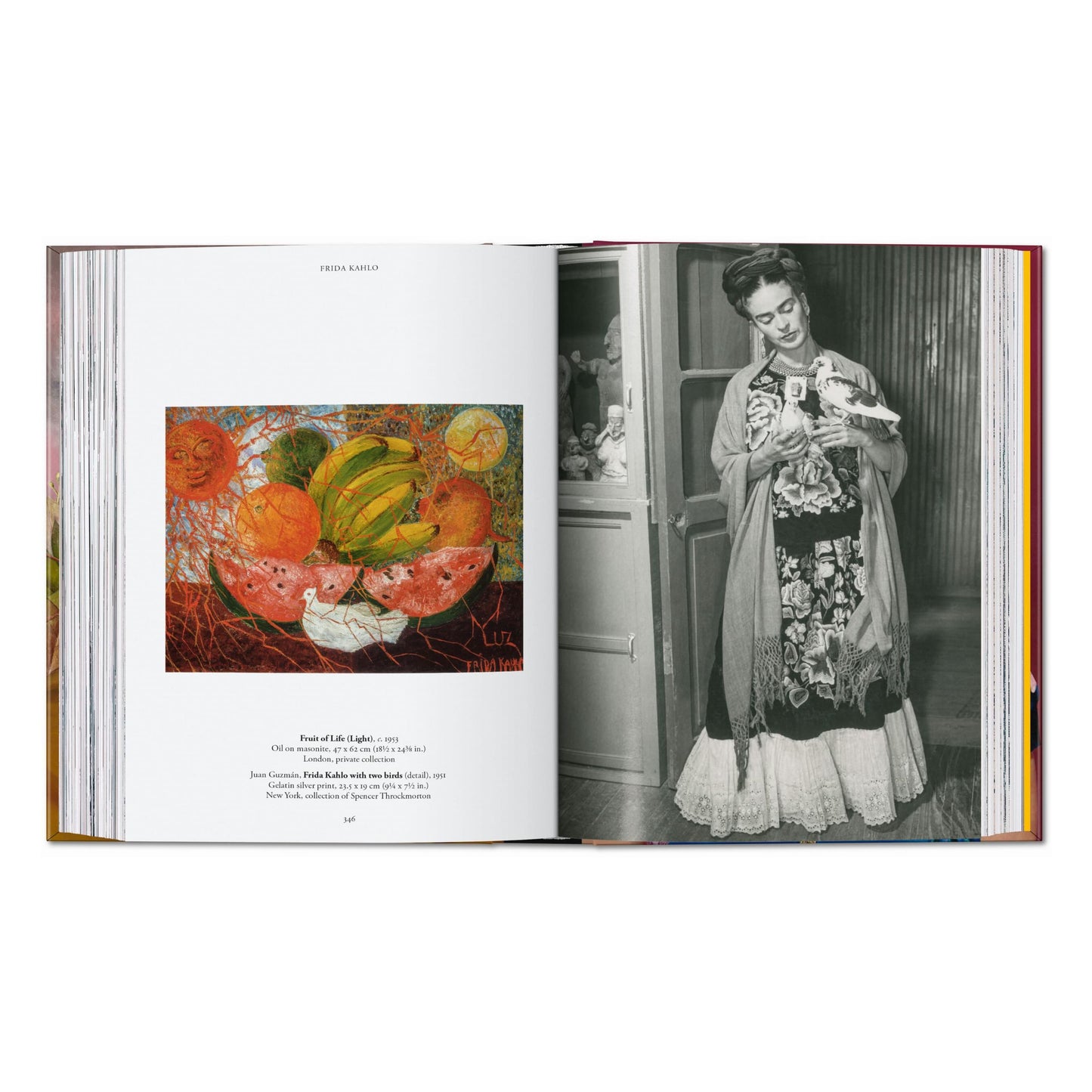 Frida Kahlo. 45th Ed. (Spanish)