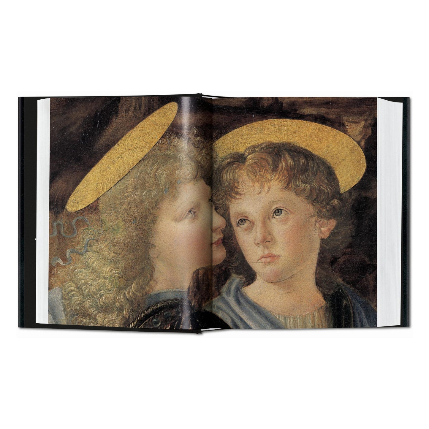 Leonardo. Sämtliche Gemälde (German)