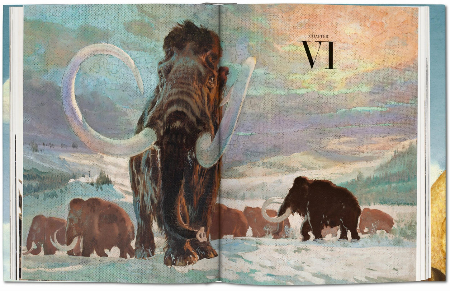 Paläo-Art. Darstellungen der Urgeschichte. 40th Ed. (German)