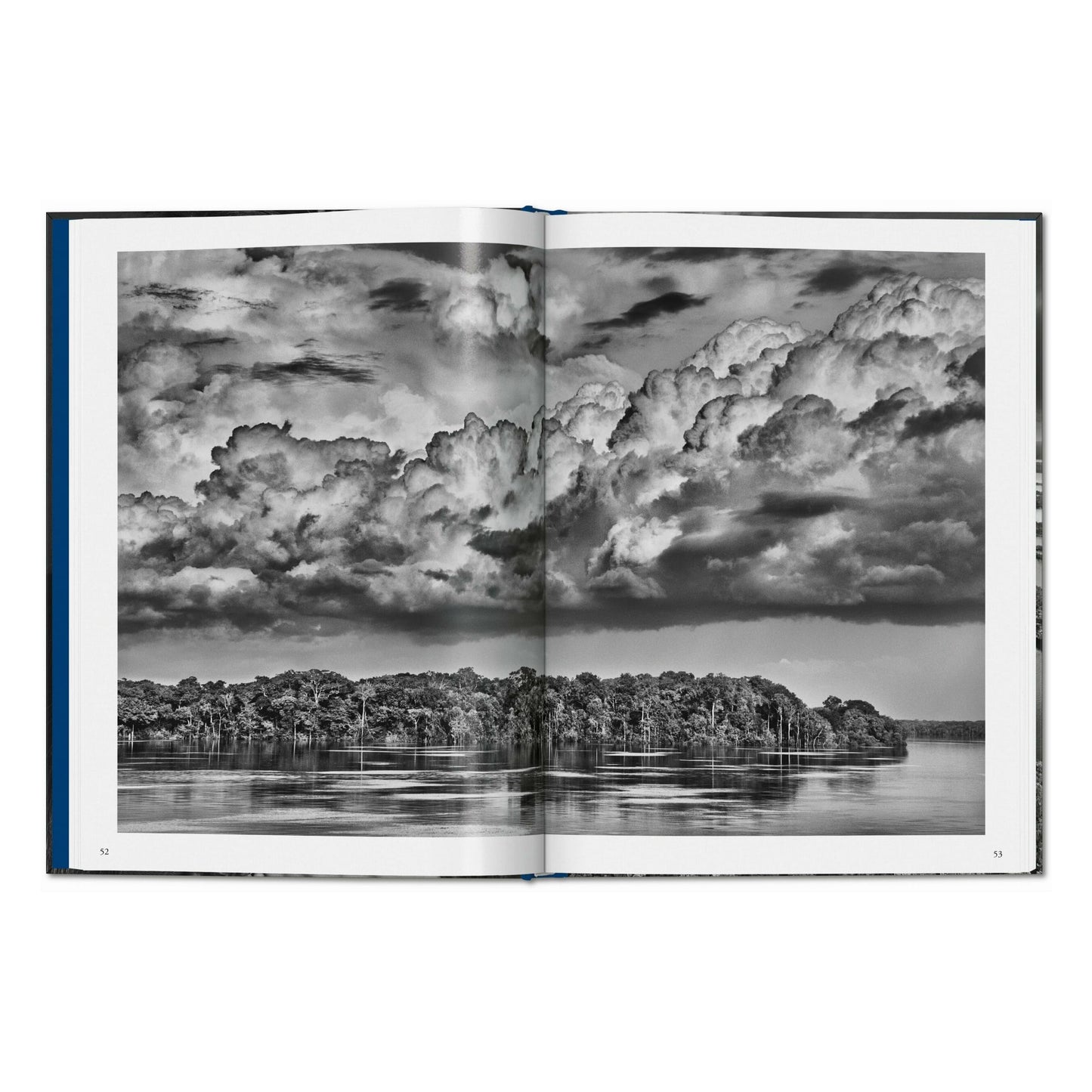 Sebastião Salgado. Amazônia (Italian)