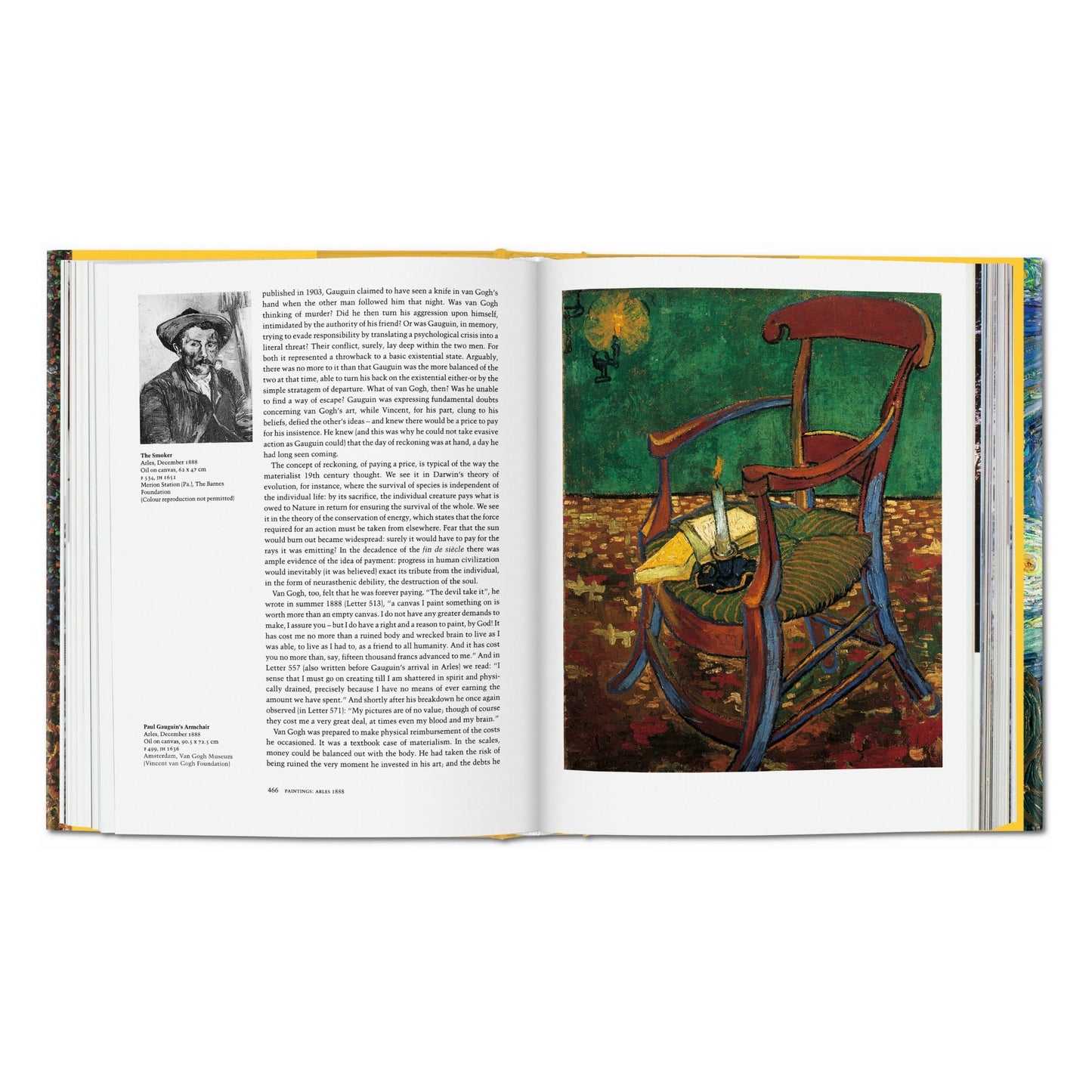 Van Gogh. Sämtliche Gemälde (German)