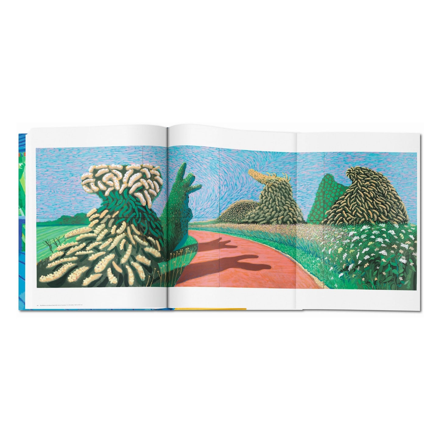 David Hockney. A Bigger Book (English) (AP)