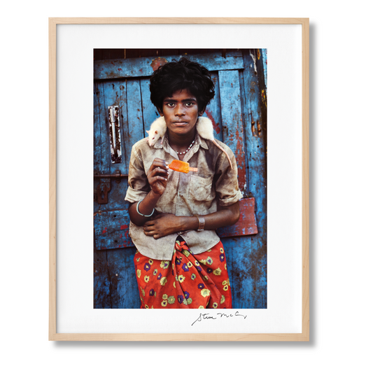McCurry, Animals, Art B, Chennai (German, French, English) (AP)