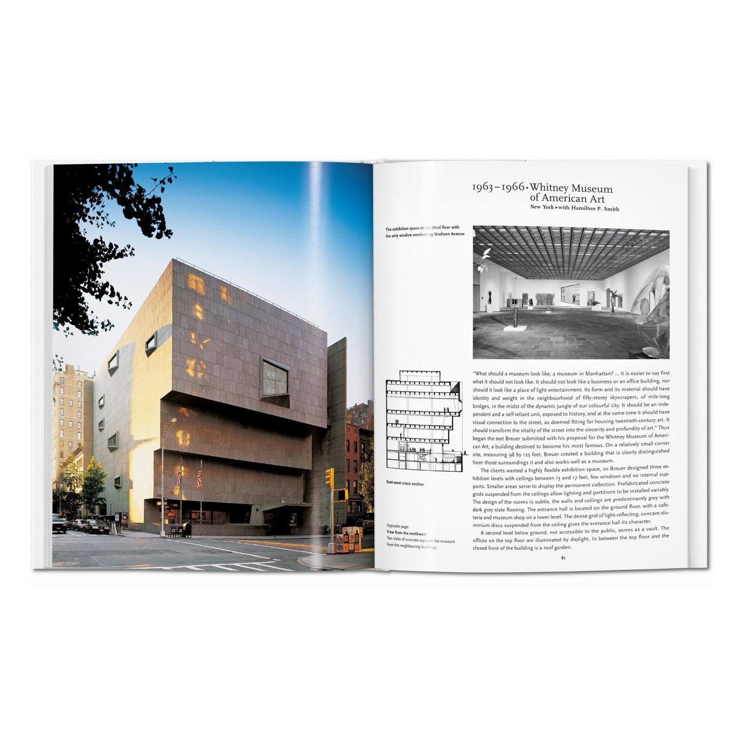 Breuer (Italian)