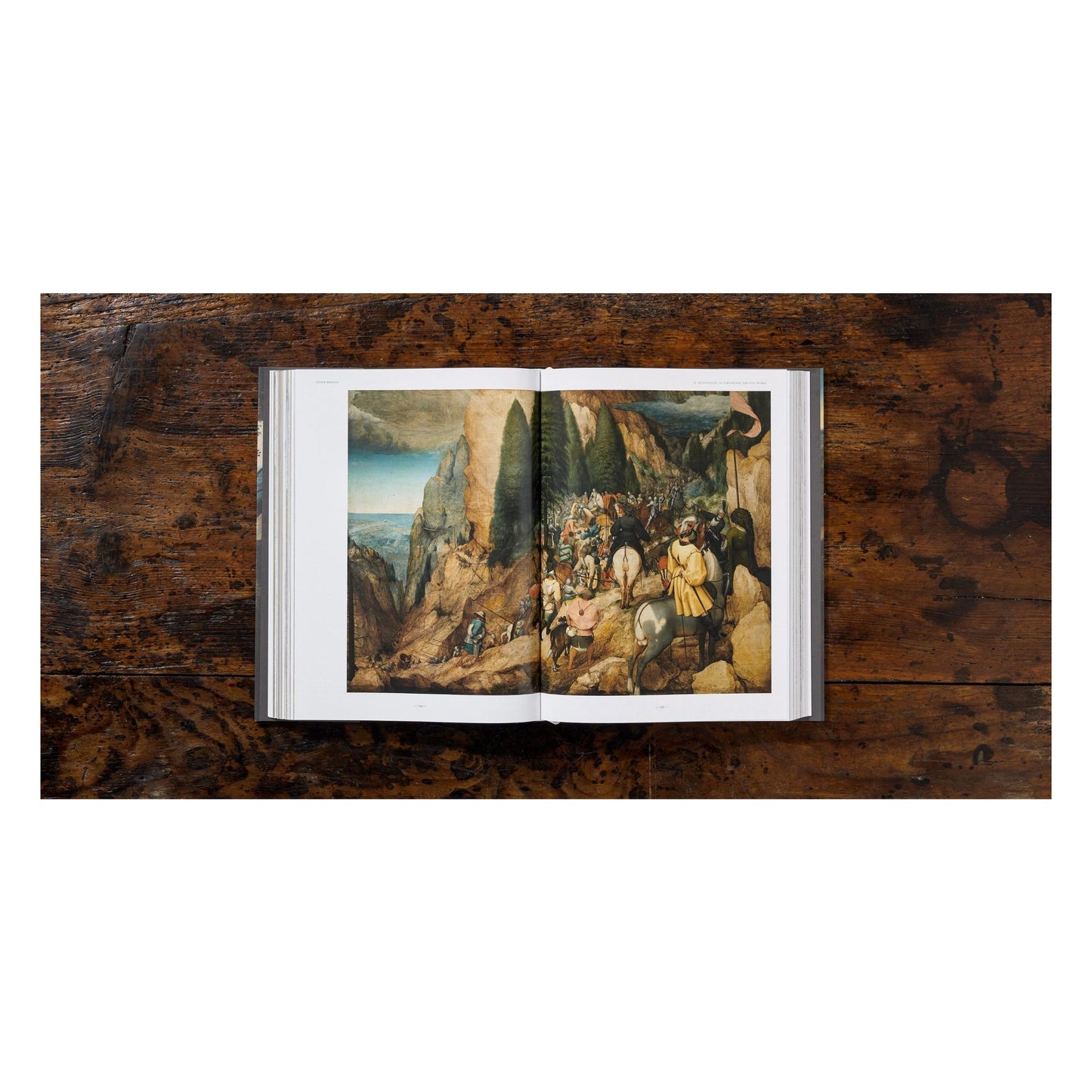 Bruegel. Das vollständige Werk (German)