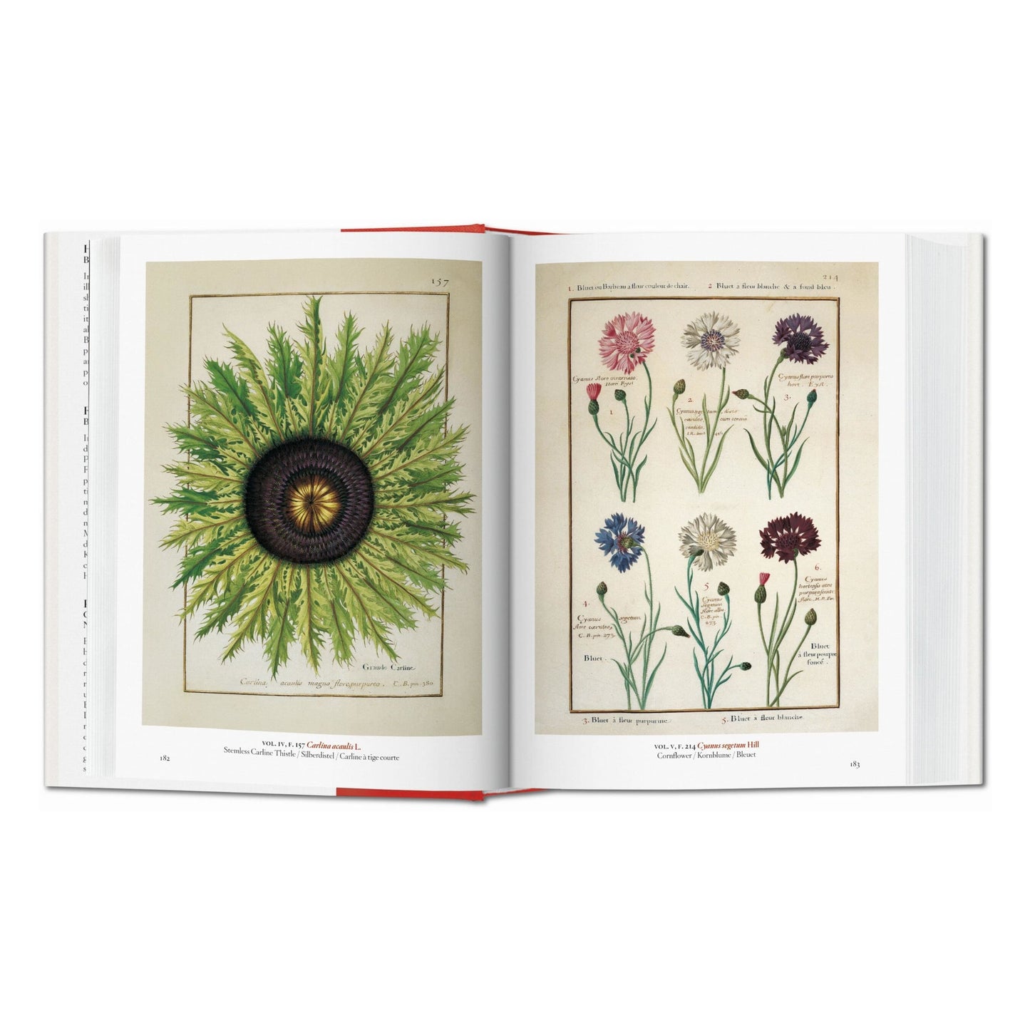 A Garden Eden. Masterpieces of Botanical Illustration. 45th Ed. (Spanish, English, Italian)