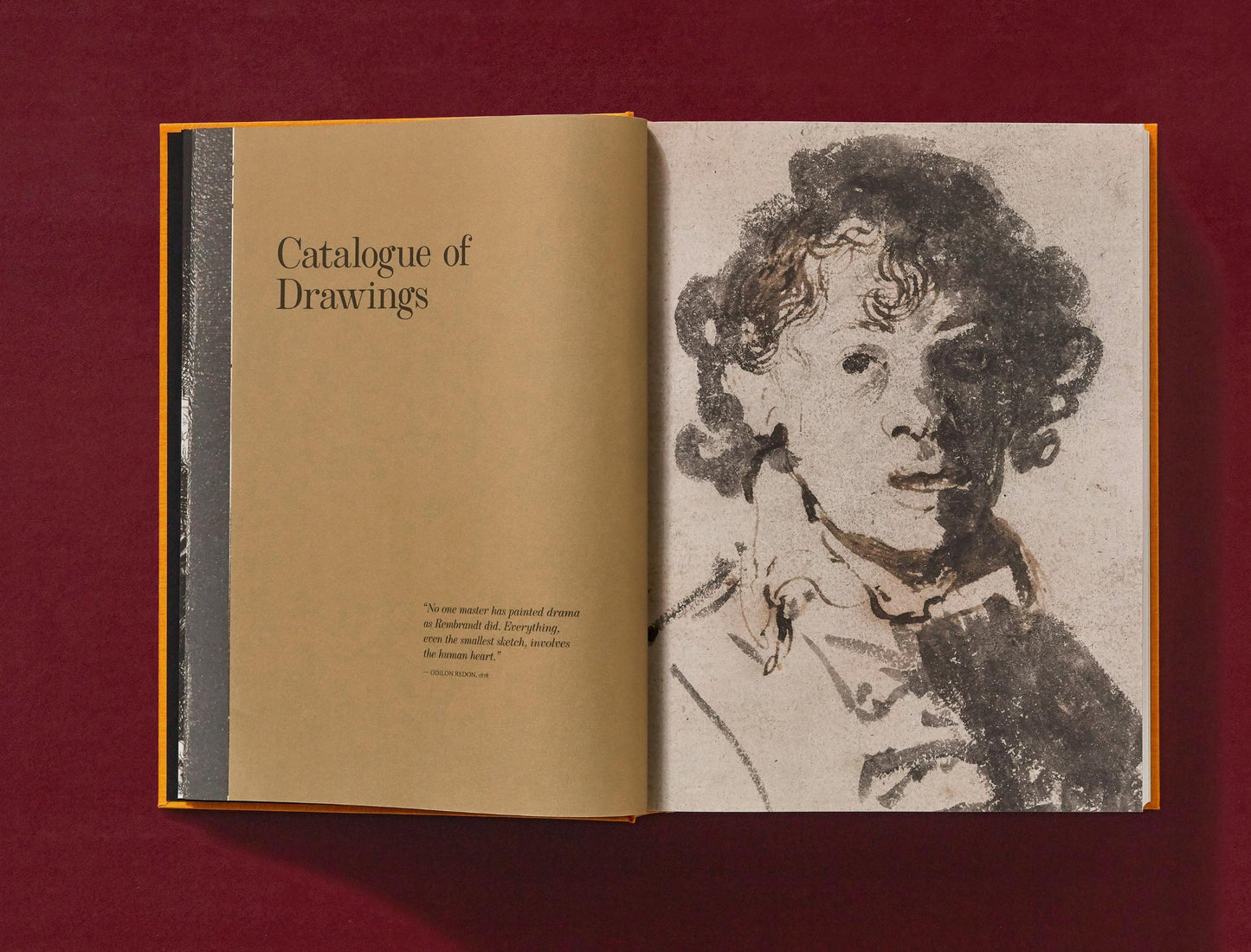 Rembrandt. Alle tekeningen en etsen (Dutch)